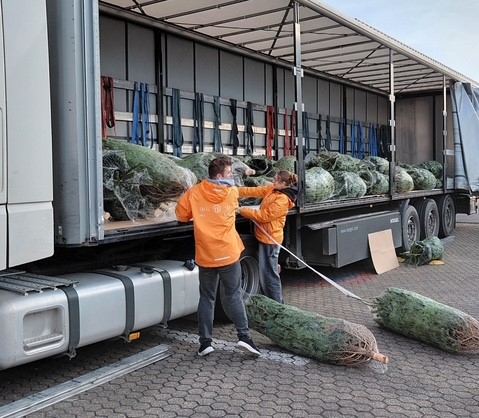 Weihnachtsbaumspende