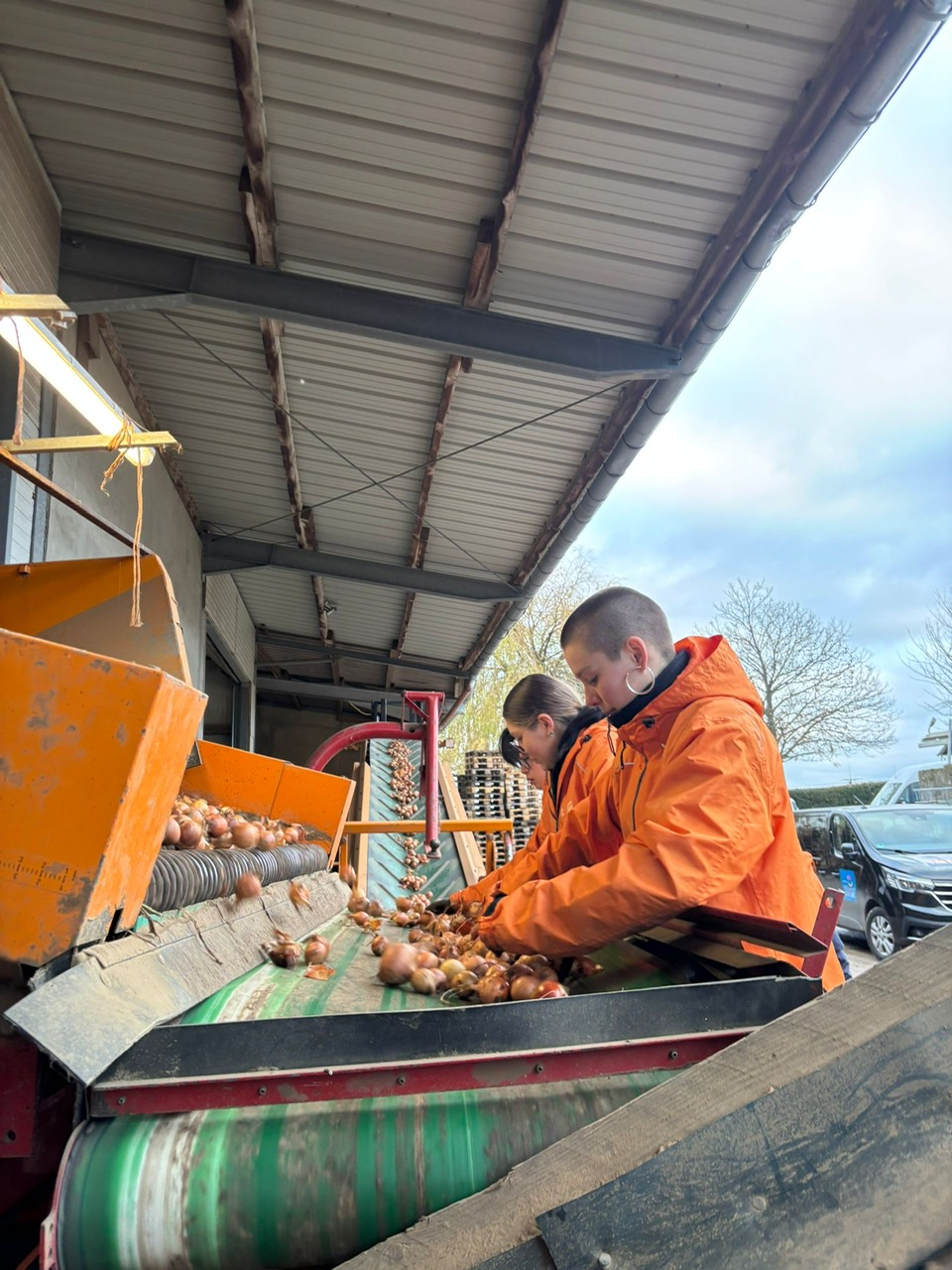 Zwiebelaktion in Linnich